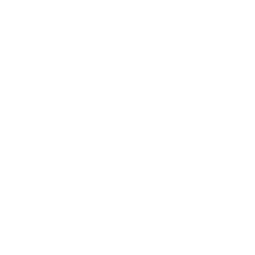 DGS logo